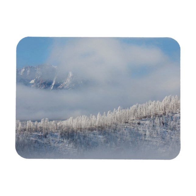 Frost and Fog in the Mountains Magnet (Horizontal)
