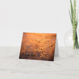 Frost Covered Branches Letterpress Thank You Card