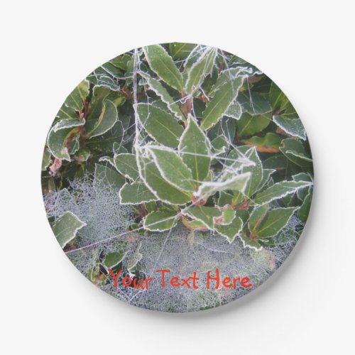 frost covered holly and cobweb christmas design paper plates