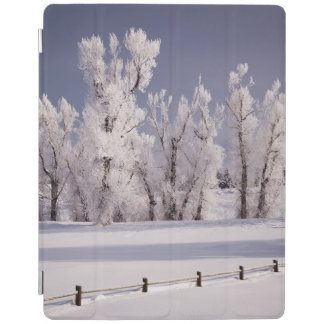 Frost Covered Trees and Fence, Colorado iPad Smart Cover