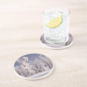 Frost Covered Trees and Fence, Colorado Sandstone Coaster