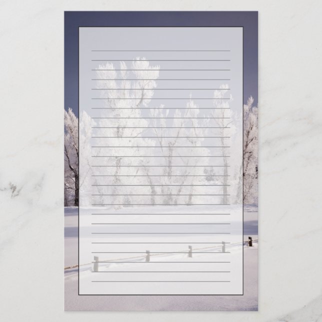 Frost Covered Trees and Fence, Colorado Stationery (Front)