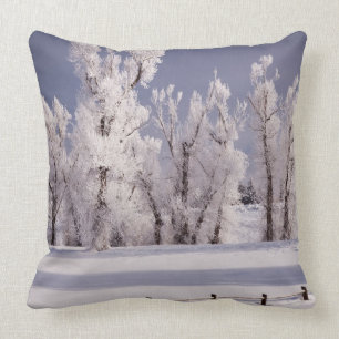 Frost Covered Trees and Fence, Colorado Throw Pillow