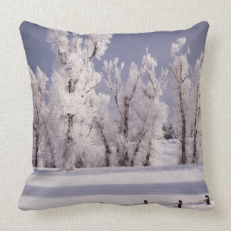 Frost Covered Trees and Fence, Colorado Throw Pillow