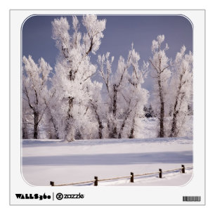 Frost Covered Trees and Fence, Colorado Wall Decal