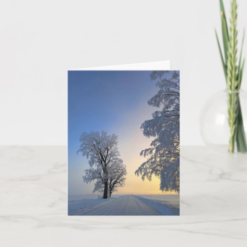 Frost covered trees note card