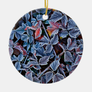 Frost on autumn leaves, Oregon Ceramic Ornament