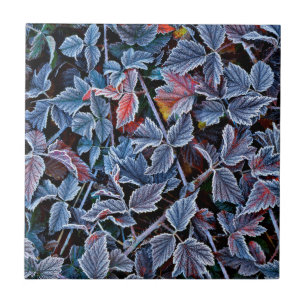 Frost on autumn leaves, Oregon Ceramic Tile