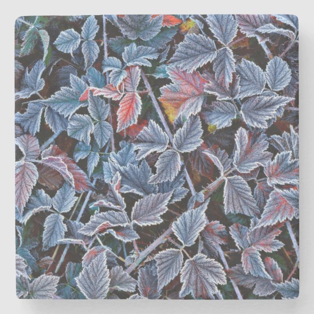 Frost on autumn leaves, Oregon Stone Coaster (Front)