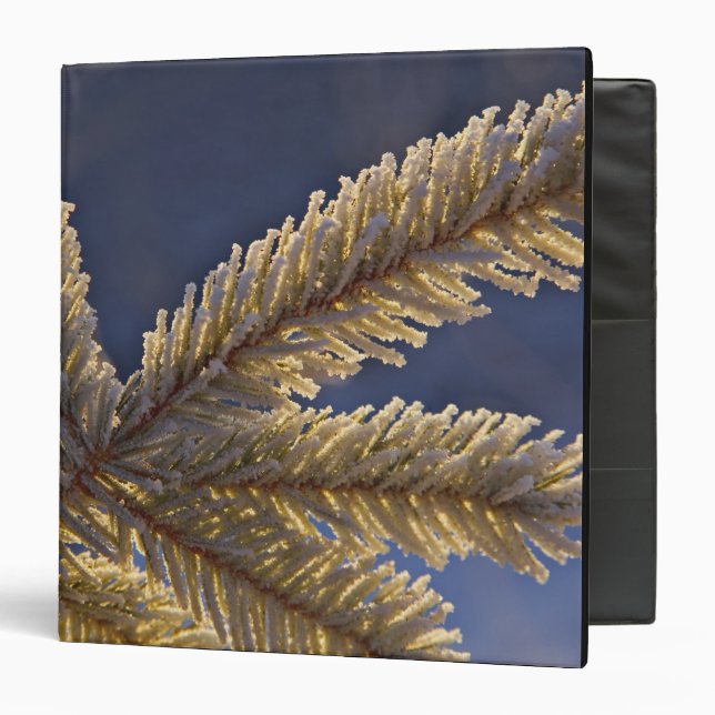 Frost on evergreen tree, Homer, Alaska 3 Ring Binder (Front/Inside)
