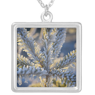 Frost on evergreen tree, Homer, Alaska Silver Plated Necklace