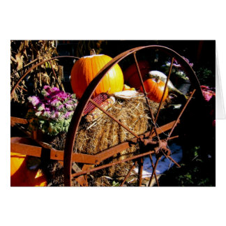 Frost On the Pumpkin Cards