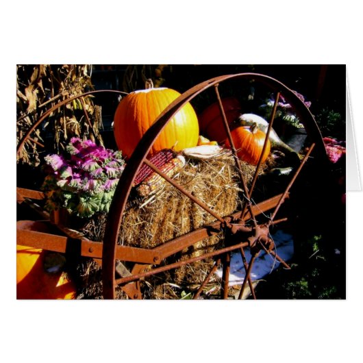 Frost On the Pumpkin Cards (Front Horizontal)