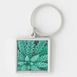 Frost On Thistle, Olympic National Park Keychain