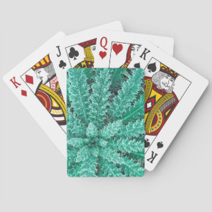 Frost On Thistle, Olympic National Park Poker Cards