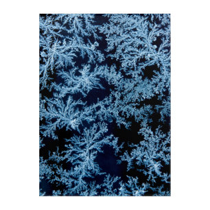 Frost patterns close-up, California Acrylic Print