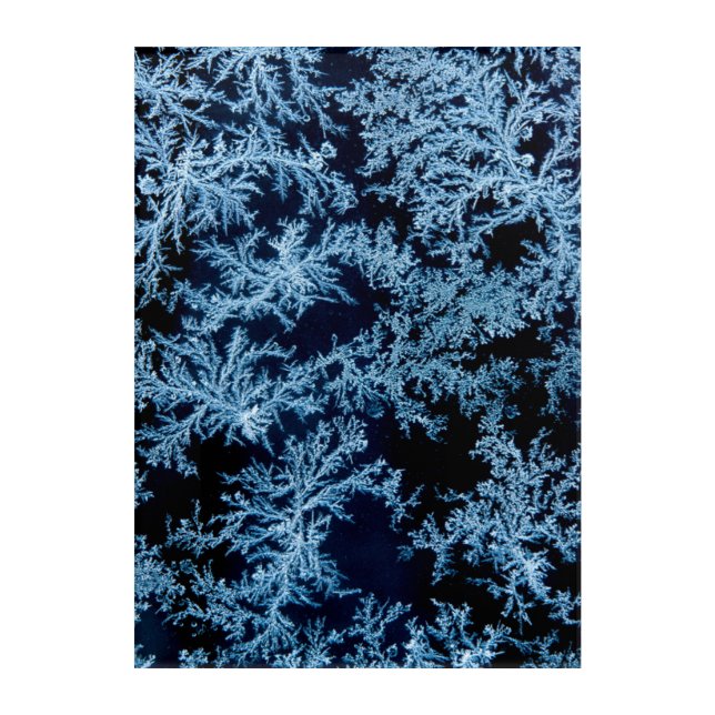 Frost patterns close-up, California Acrylic Print (Front)