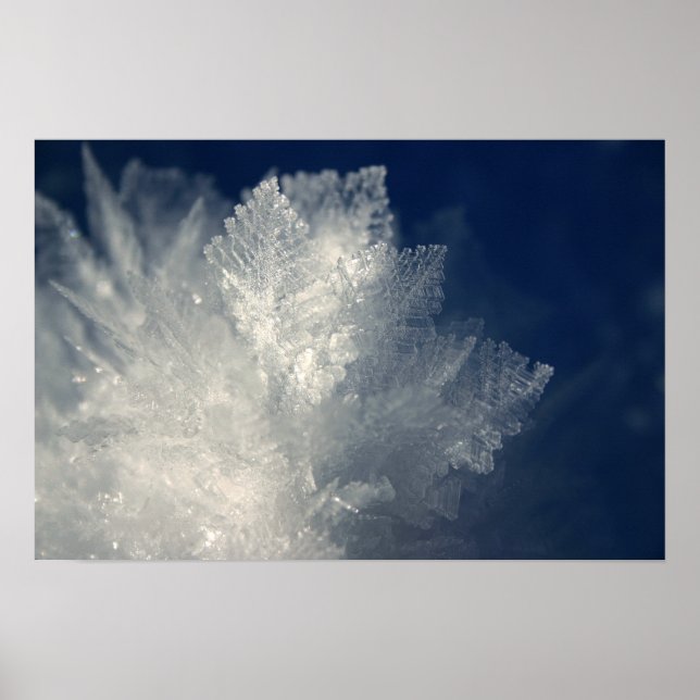 Frost Poster (Front)