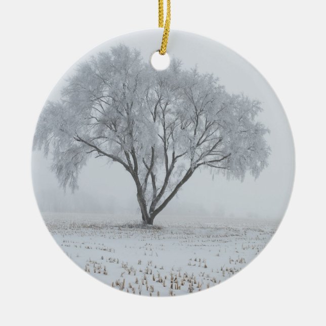 Frost Upon a Lonely Tree Ceramic Ornament (Front)