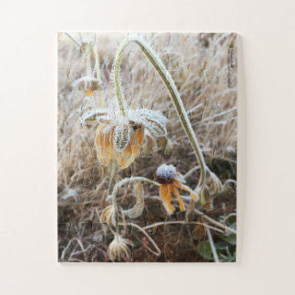 Frost Wilted Rudbeckia Flowers Photograph Jigsaw Puzzle