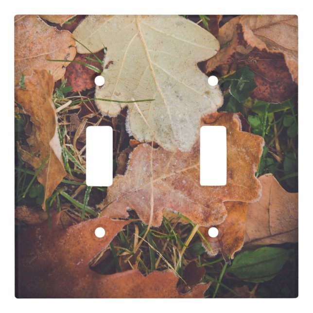 Frosted autumn oak leaves light switch cover (Front)