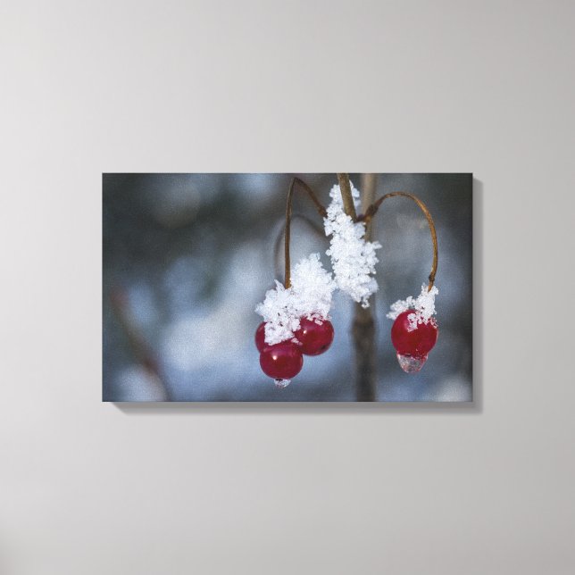 Frosted Berries Canvas Print (Front)