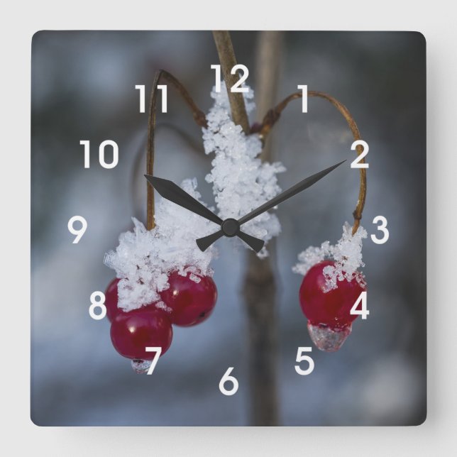 Frosted Berries Square Wall Clock (Front)