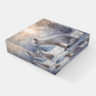 "Frosted Bonds: The Arctic Fox and Her Cub" Paperweight