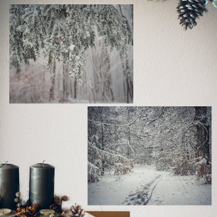 Frosted branches and a snow-covered forest wall art sets