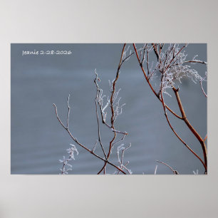 Frosted Bush Poster