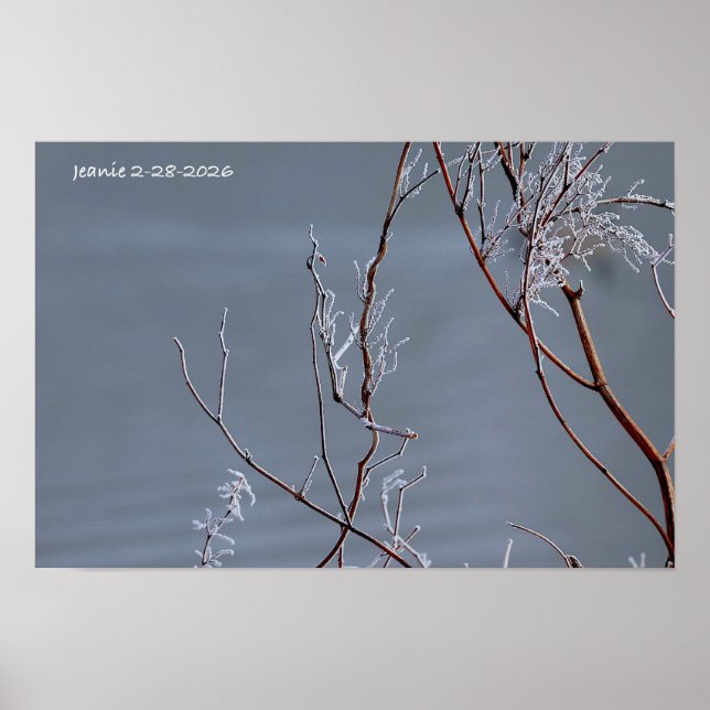 Frosted Bush Poster (Front)