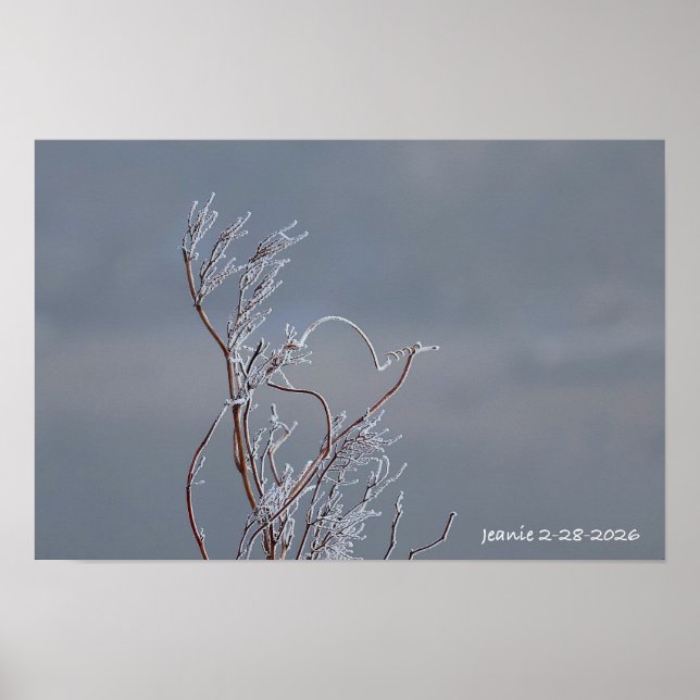 Frosted bush poster (Front)