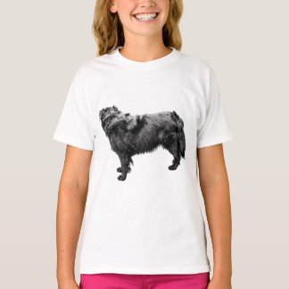 Frosted Dawn Stance T-Shirt