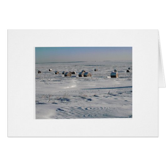 frosted flakes (Front Horizontal)