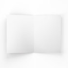 Frosted Forest Christmas Scenery Flat Holiday Card