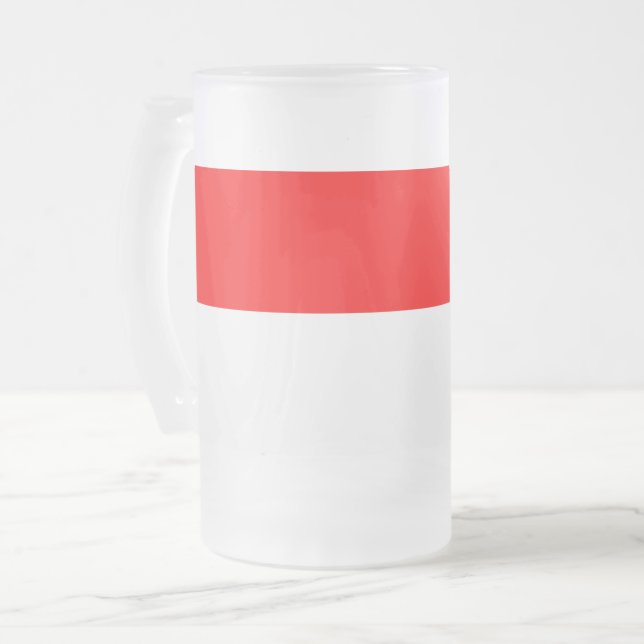 Frosted Glass Mug with flag of Indonesia (Front Left)