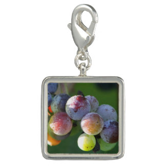 Frosted Grapes on the Vine Purse Charm