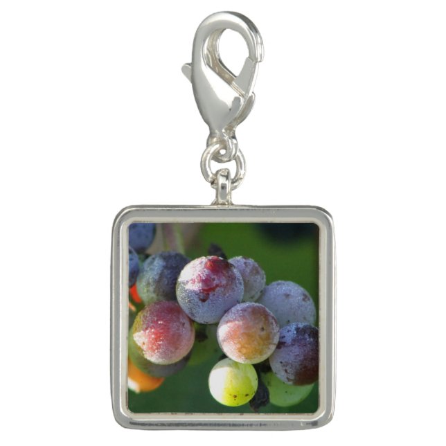 Frosted Grapes on the Vine Purse Charm (Front)