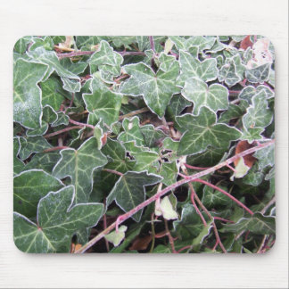 Frosted Ivy Mousepad