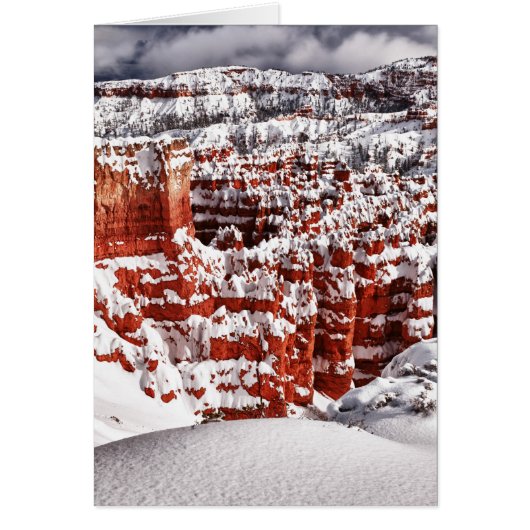 Frosted Landscape Cards (Front)