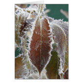 Frosted Leaves (Front)