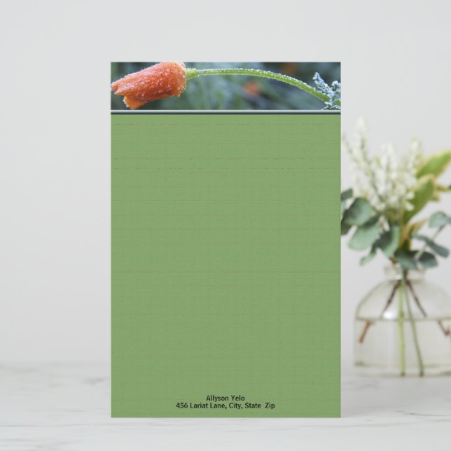 Frosted Orange California Poppy Personalized  Stationery (Standing Front)