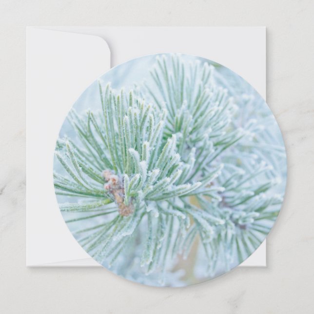 Frosted Pine Holiday Card (Front)