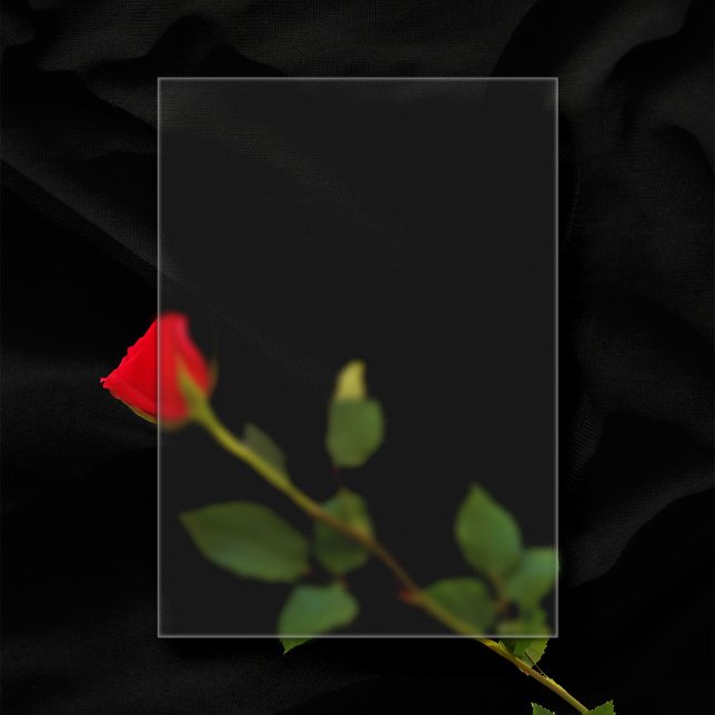 Frosted Plastic 5"x7" Blank Wedding Acrylic Invitations (In Situ of transparent frosted wedding invitation over a rose)