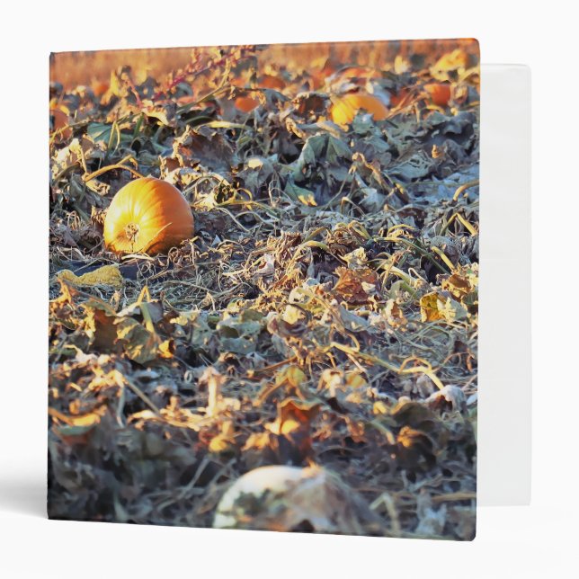 Frosted Pumpkin Patch  3 Ring Binder (Front/Inside)