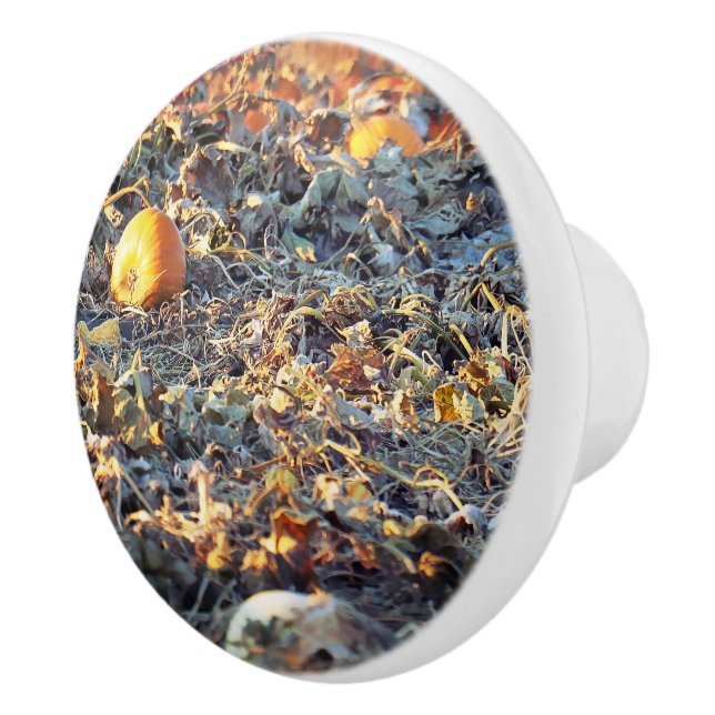 Frosted Pumpkin Patch  Ceramic Knob (Right)