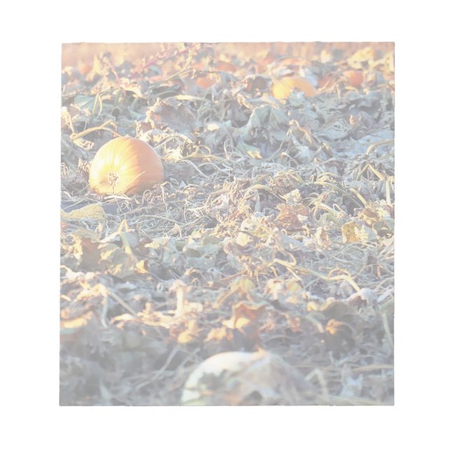 Frosted Pumpkin Patch  Notepad (Front)