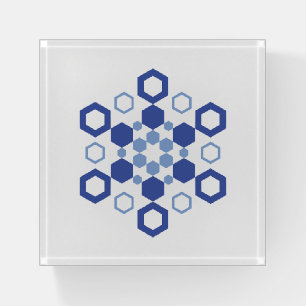 Frosted Symmetry Paperweight