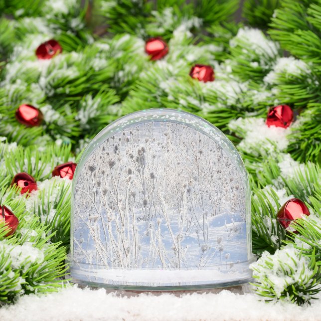 Frosted Thistles In Snow-Covered Field Snow Globe (Christmas)