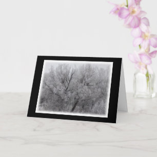 Frosted Trees Blank Greeting Card
